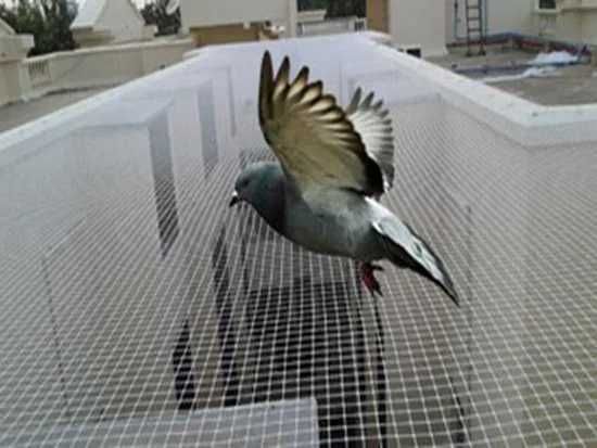 Siatka dla kota, siatka na balkon, siatka przeciw ptakom, woliera