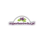 Sadzonki Laurowiśnia Wschodnia | m104 | multiplat | certyfikat CAC