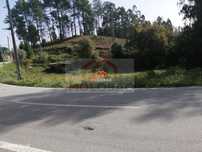 Terreno - Canedo (Mosteirô)