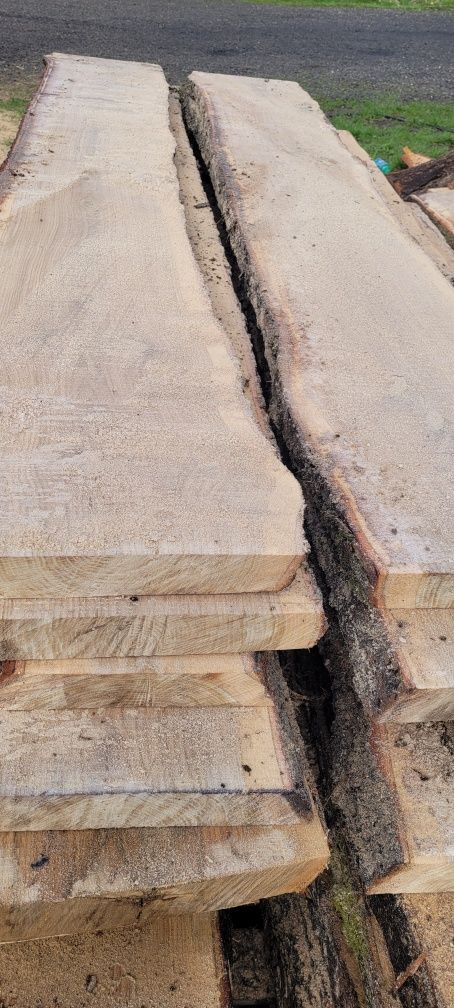 Dąb drewno bale 55 mm grube,