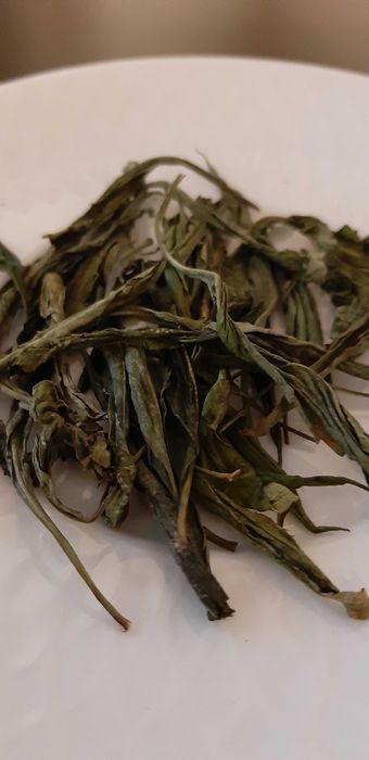 Cha orgânico preto/verde cultivado e prodizido em Aveiro