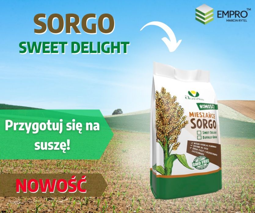 Trawa sudańska SWEET DELIGHT, nowsza odmiana Nutrihoney, Nutri Honey