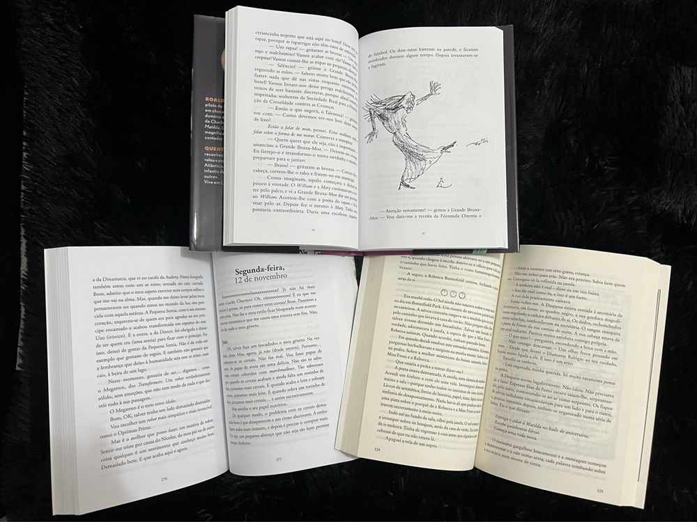 Conjunto Livros Juvenis Menina NOVOS