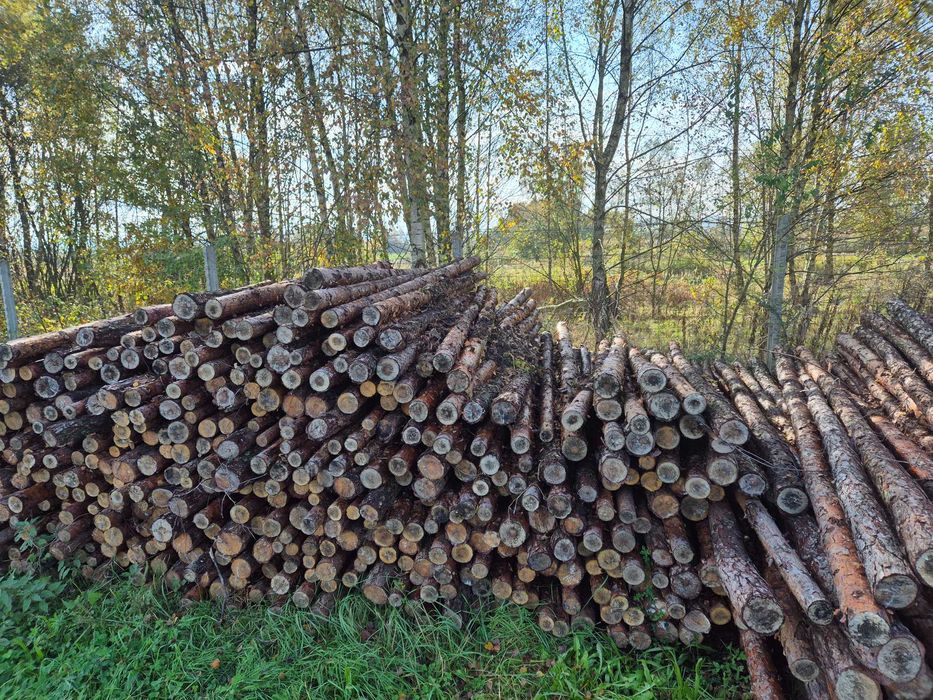 3 metrowe ,Stemple, stęple drewniane, nowe, budowlane’