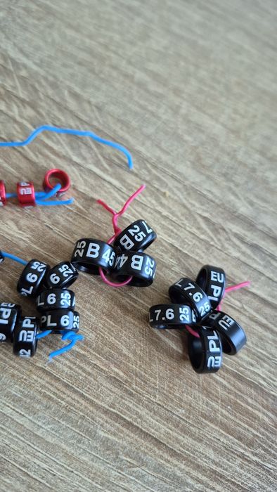 Obrączki dla papug 2025rok  23sztuki