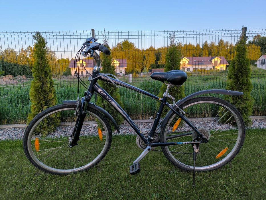 Rower Giant Cypress trekking miejski