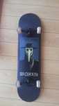Skate TonyHawk BirdHouse