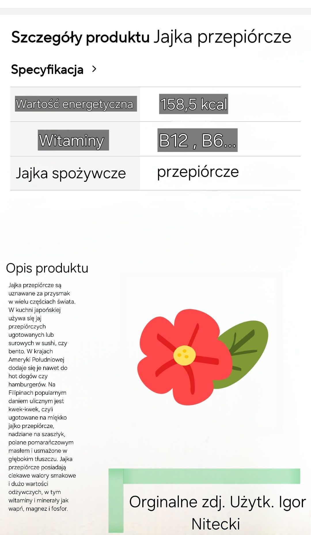 Jajka przepiórcze spożywcze ŚWIEŻE