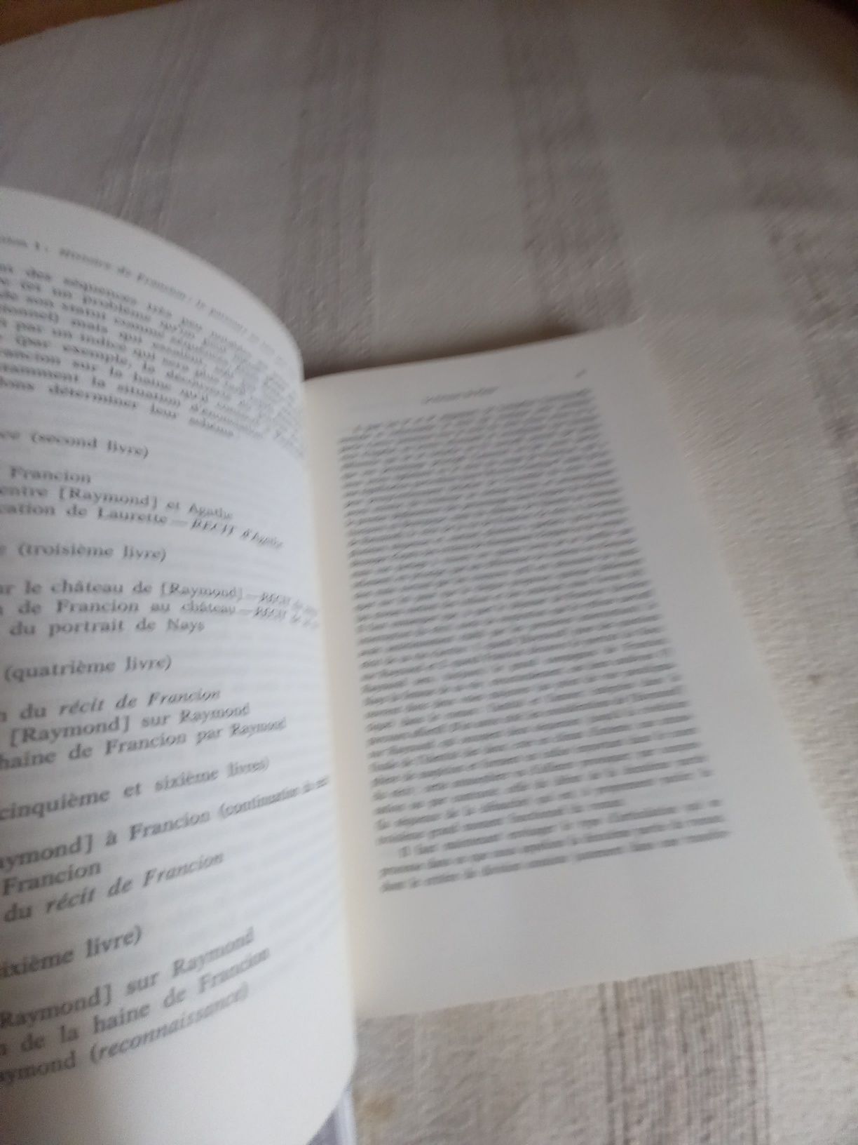 Livro de Maria Alzira seixo em francês Ed Gulbenkian