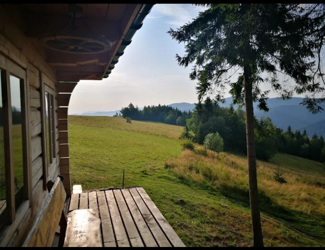 Samotnia/Domek w Górach/Bacówka/Domek w górach/Widok na Tatry