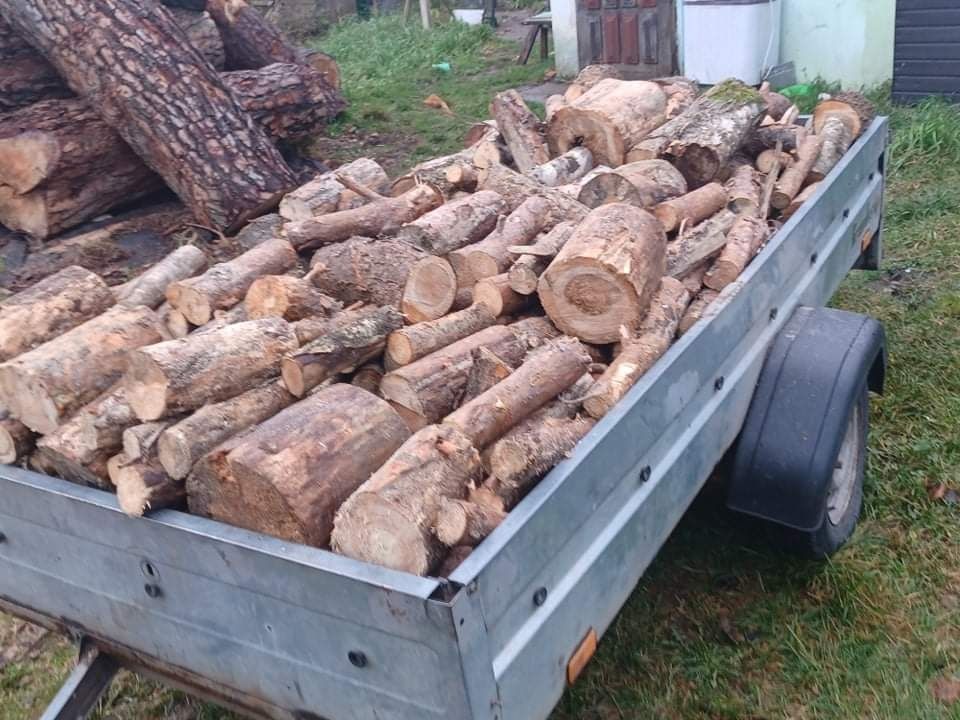 Sprzedam drzewo opałowe sosna