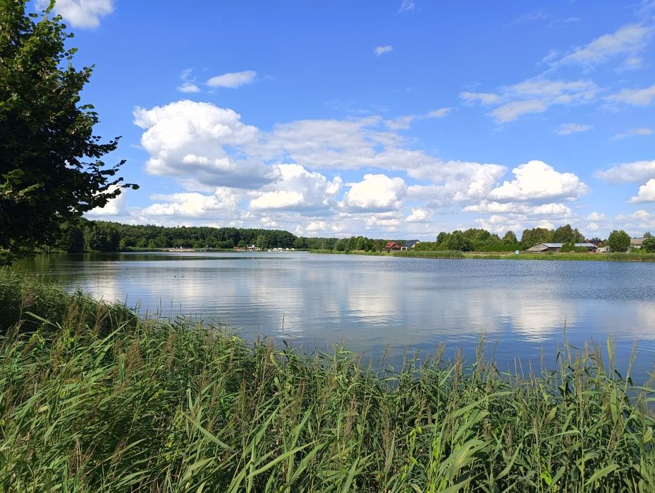 Dom Stan Surowy Zamknięty Nowe Miasto Lasy Zalew