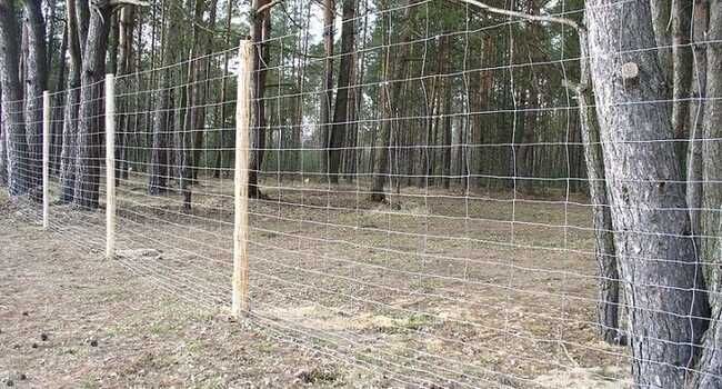 Ogrodzenia z sitaki leśnej, ogrodzenia tymczasowe, siatka leśna.