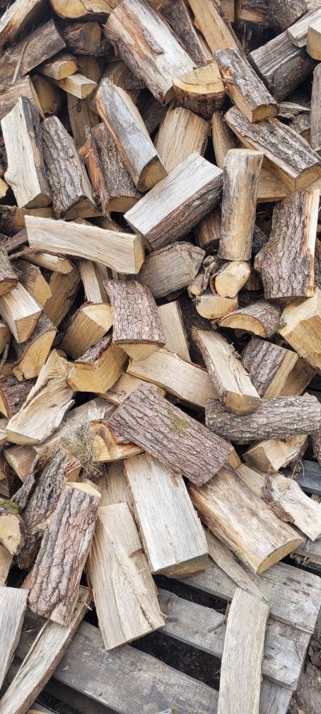 Drewno kominkowe liściaste buk -transport gratis