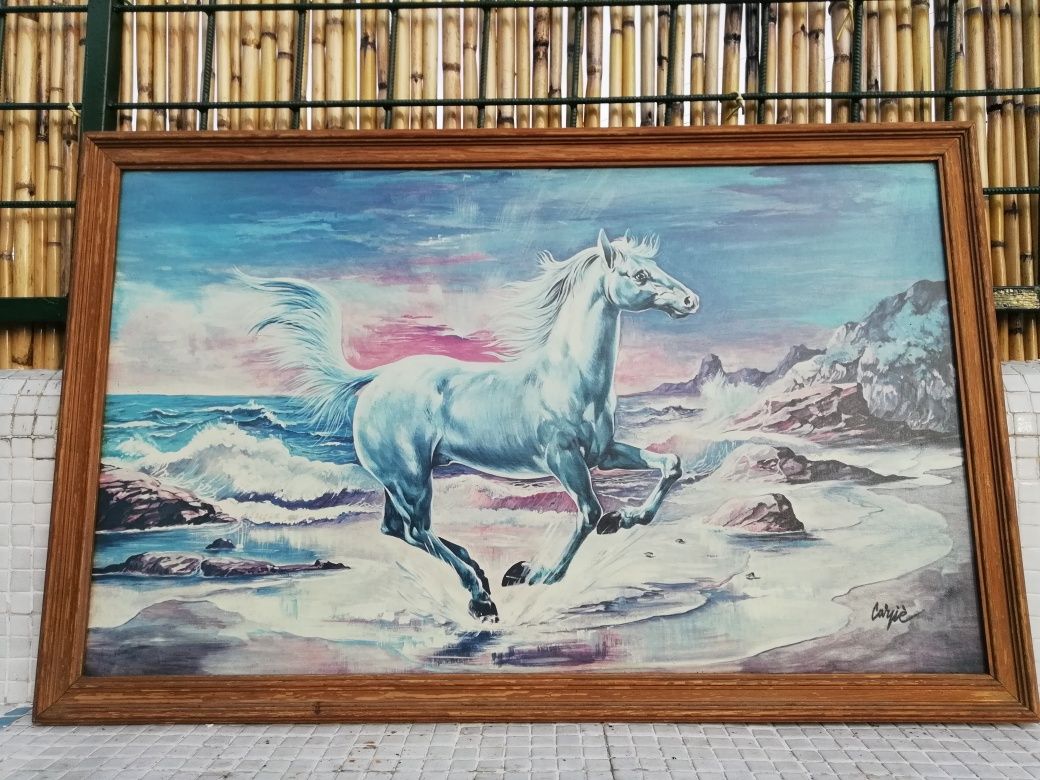 Quadro de Cavalo Branco Lindo