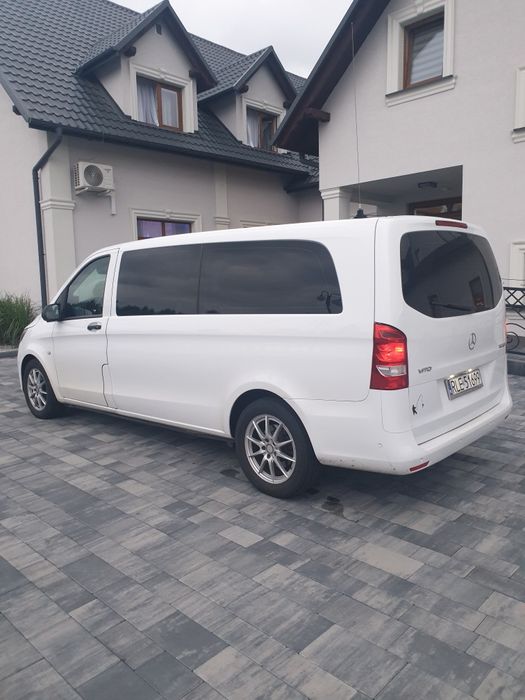 Bus Transport Okolicznościowy Licencja