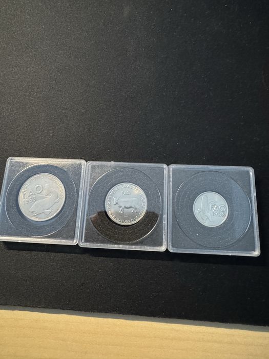 Conjunto moedas de escudo FAO