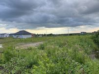 Без комісії. Продаж земельної ділянки 12 сот Скнилів (Львів)