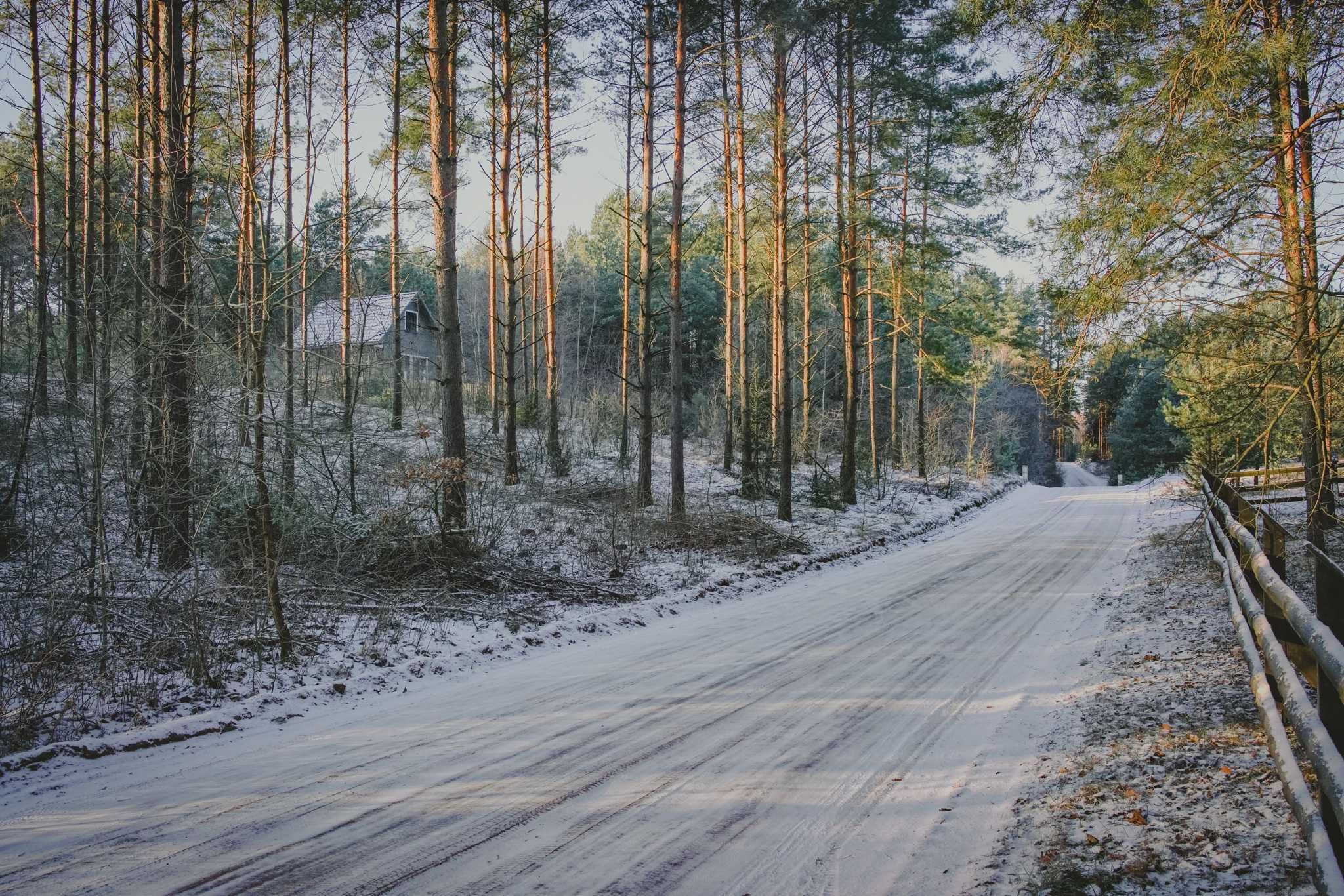 domek w lesie, jezioro Zelwa, Podlasie.