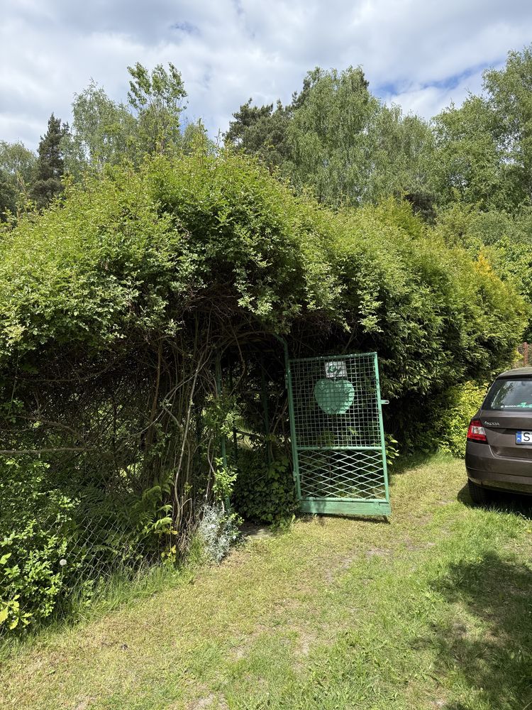 Glebogrzyarka separacyjna, niwelacja terenu, przycinanie krzewów