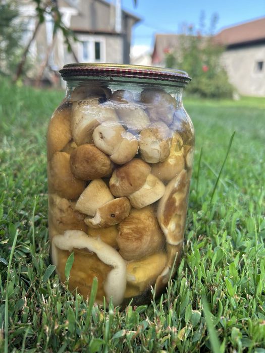 Білі гриби мариновані