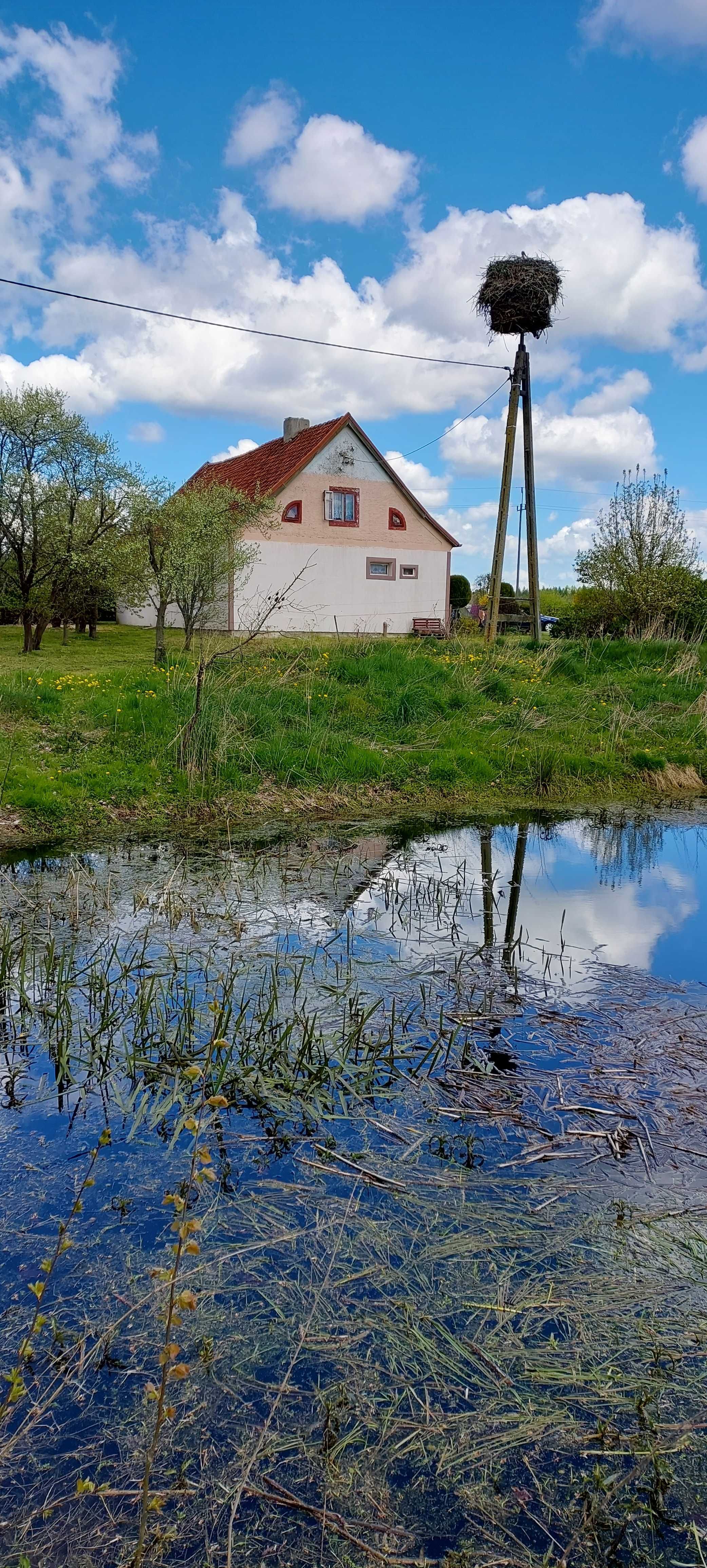 Siedlisko nad jeziorem Ruda woda