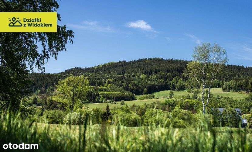 Dębrznik - działka budowlana z widokiem, WZ, dojazd S3