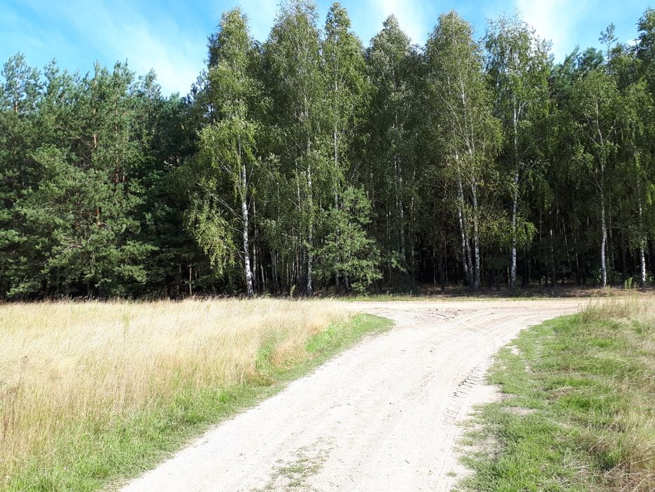 Działa budowlana nad jeziorem z Warunkami Zabudowy niedaleko Mińska M.