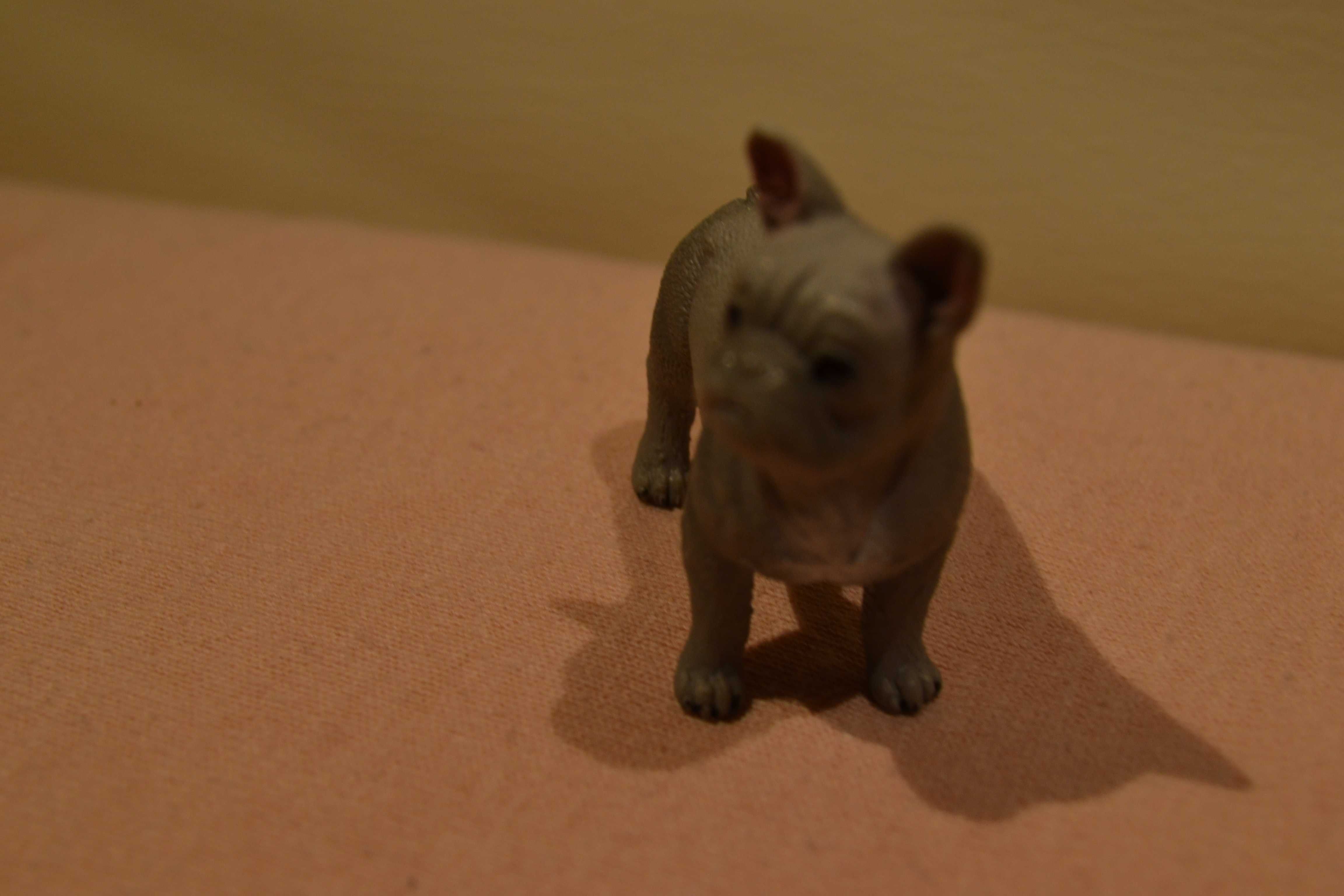 Schleich buldog buldożek francuski 2014 r.