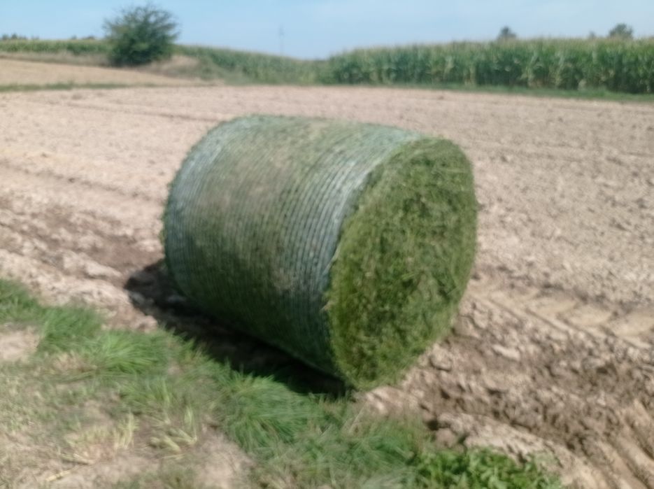 Prasa balownica Gallignani 9520 siatka