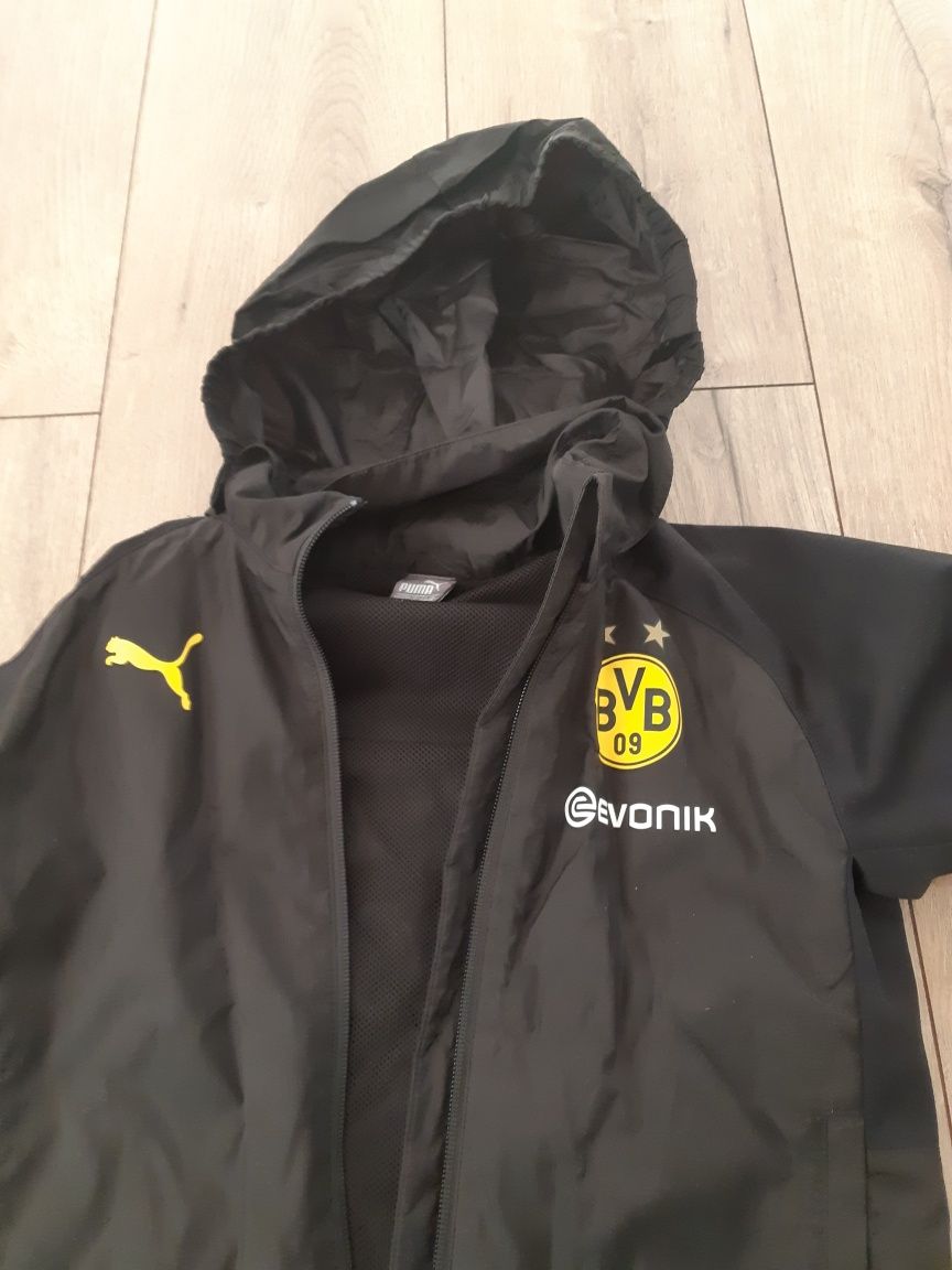 Bluza wiatrówka BVB Borussia Dortmund  Puma