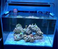 Akwarium morskie opti white 80x50x50
