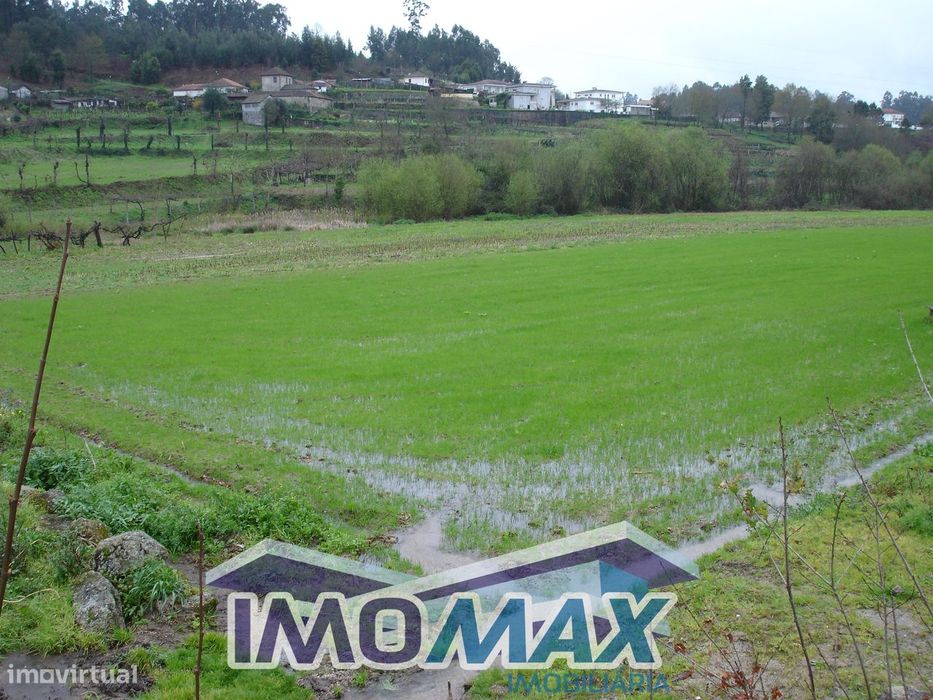 Terreno Agrícola - Bustelo, Penafiel