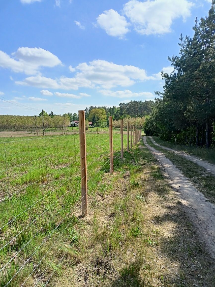 Ogrodzenie budowlane Tymczasowe ogrodzenie leśne