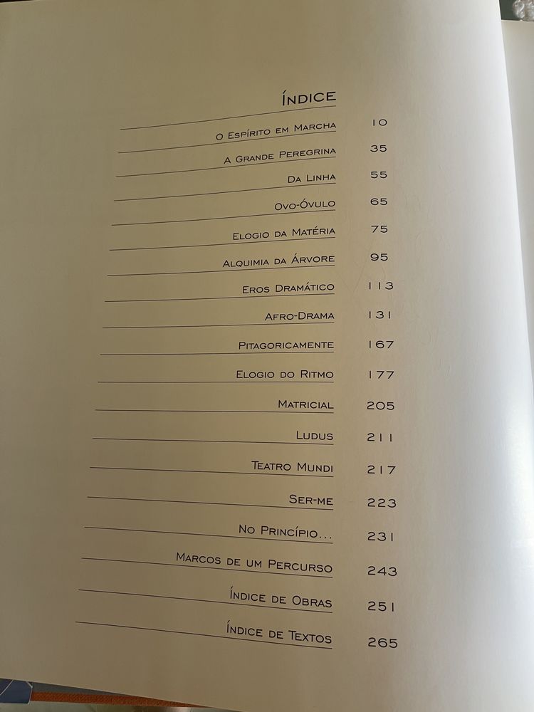 Livro universo transverso picto - grafias