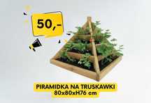 Warzywnik | Rozsadnik | Piramida na truskawki | Kwiaty | Zioła