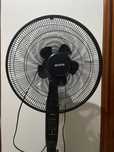 Ventoinha de pe BECKEN