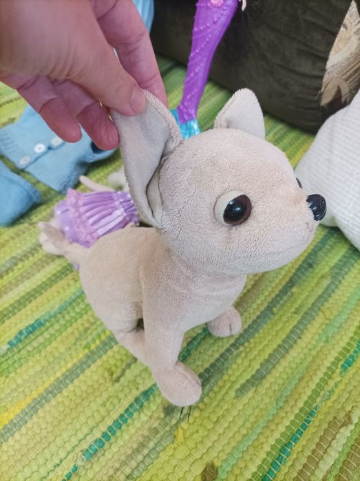 За все! Ляльки собачка чічілав