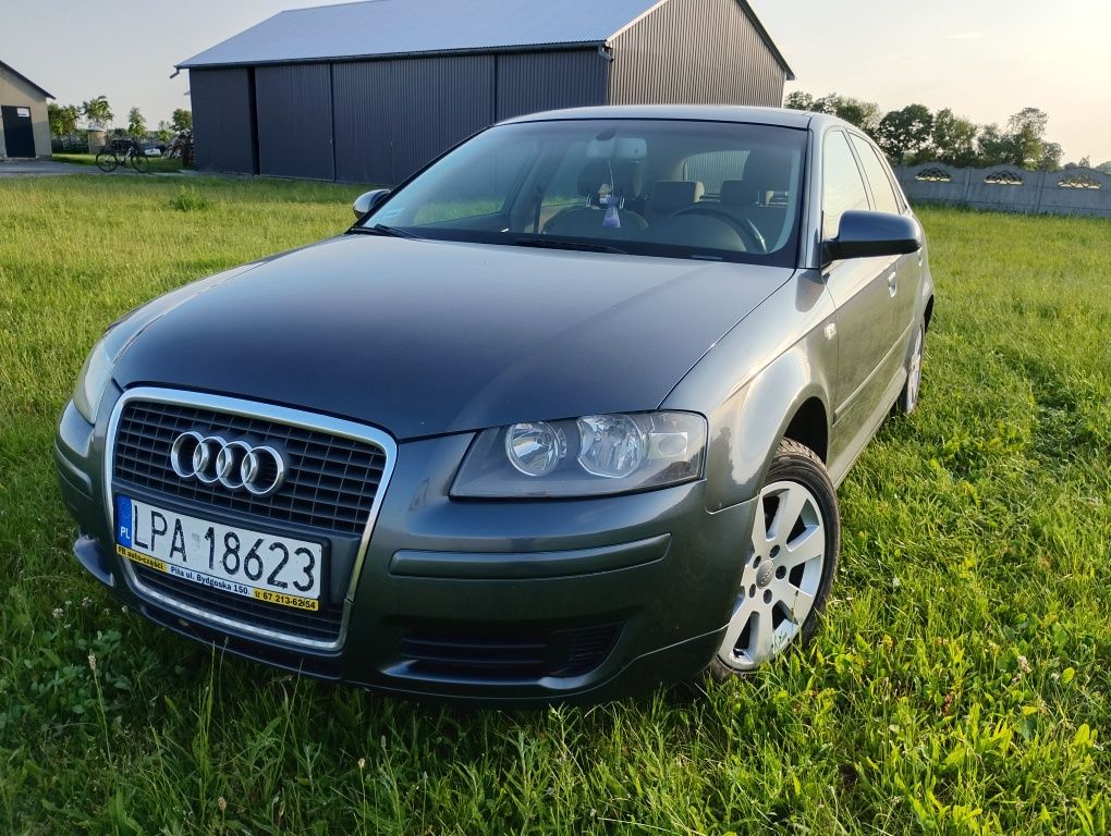 Audi A3 8P 1.9 TDI