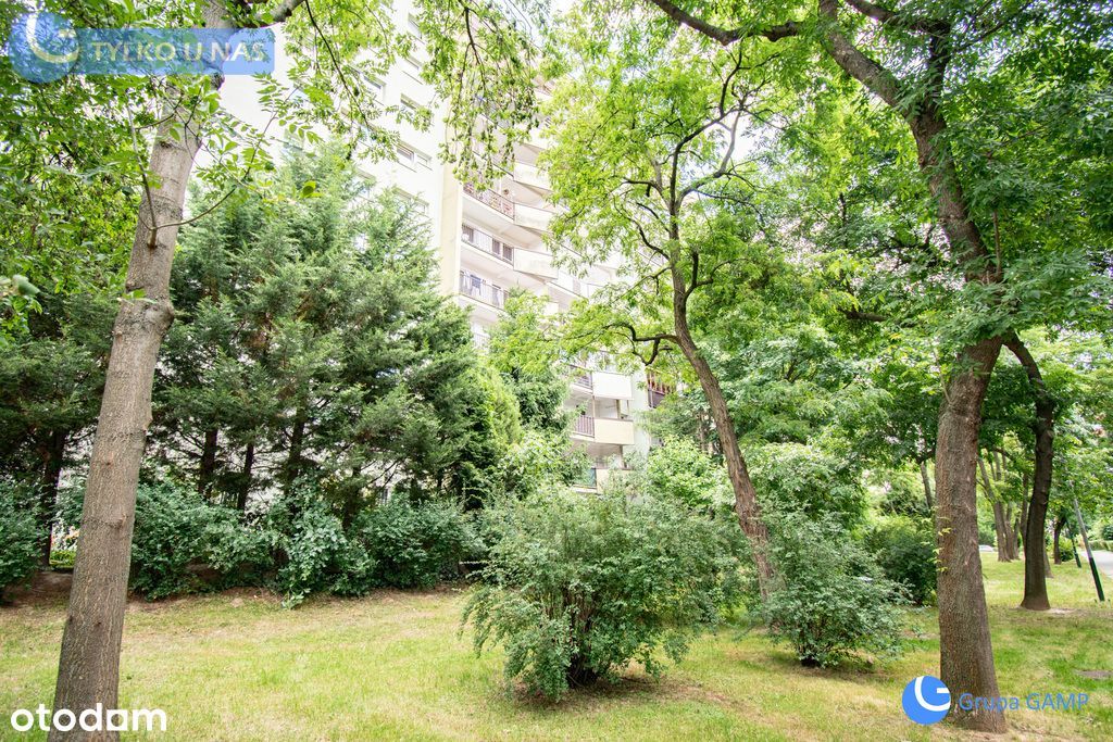 3 niezależne pok. 61m2*Dywizjonu 303* zieleń,cisza