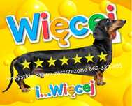Niezwykła okazja opi-nie 5/5 goo-gle