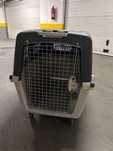 Caixa transporte cão nova (90x65x80)