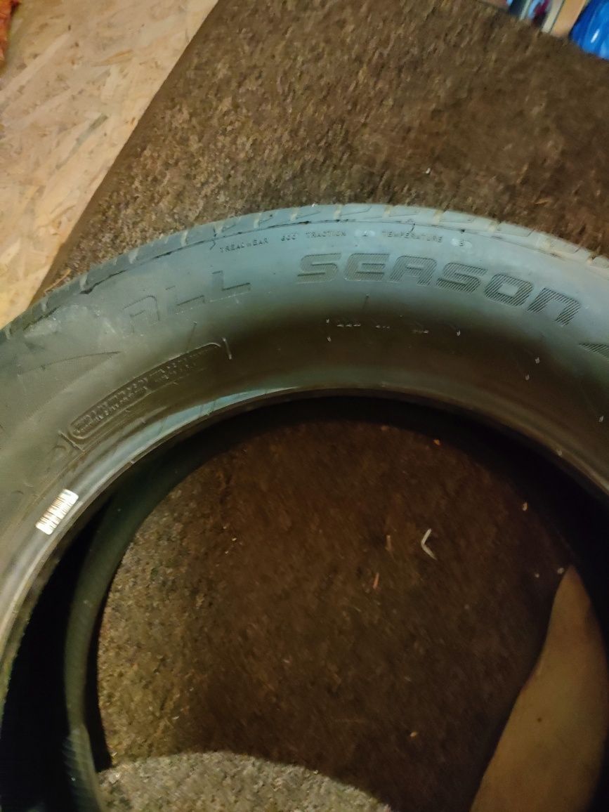 Arizonian Silver Edition 225/60R17 całoroczna