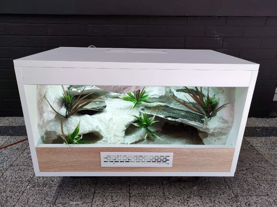 Terrarium gekon lamparci jaszczurka PETMARKET