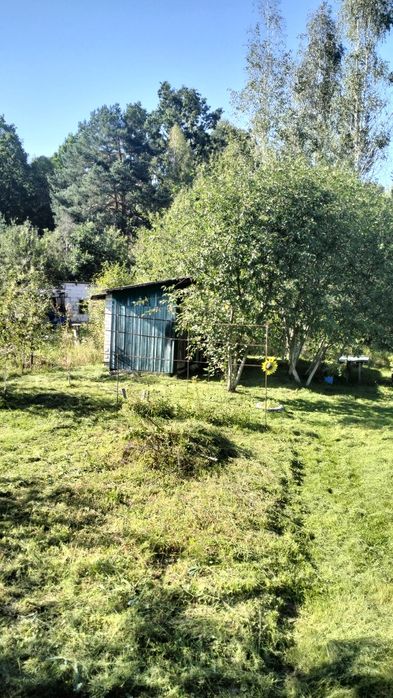 Дача Бобровський масив 1