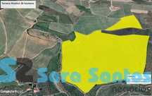 Terreno Região Demarcada do Douro. Com uma área de 32 hectares-Frei...