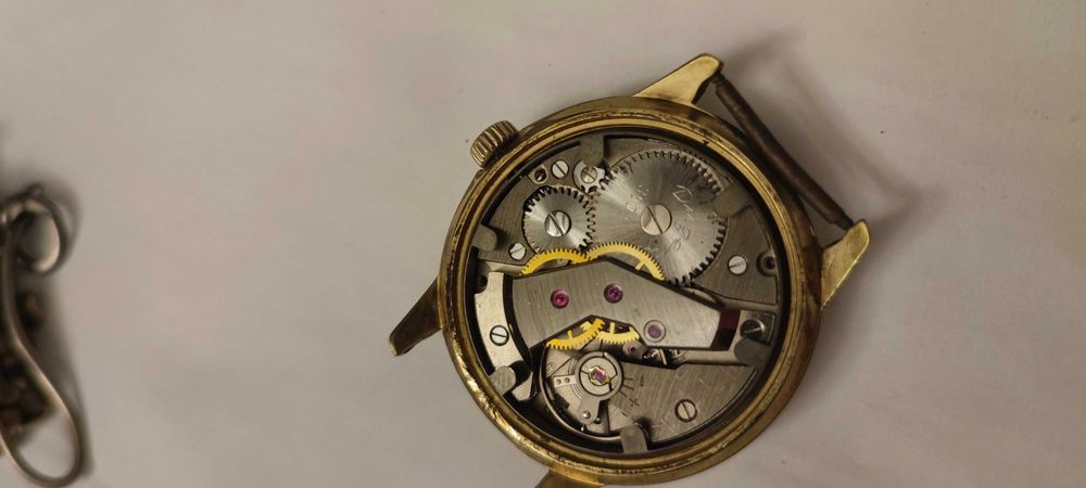 grubo zlocona DUGENA tropica na chodzie