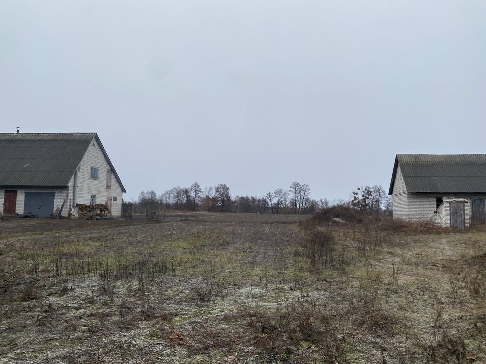 Земельна ділянка