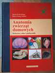 Anatomia zwierząt domowych