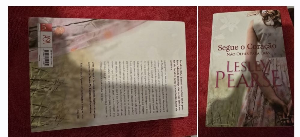 Conjunto de livros em bom estado